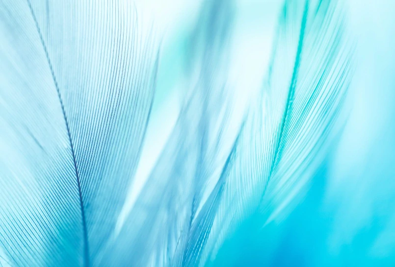 Rolovací zástěna - s motivem