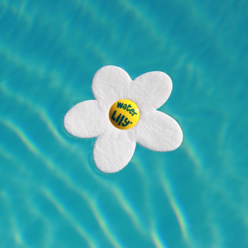 Water Lily