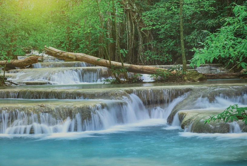 Rolovací zástěna - s motivem